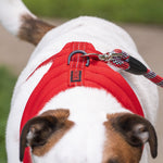 KONG Comfort Dog Harness – Red Medium Adjustable Padded Fit